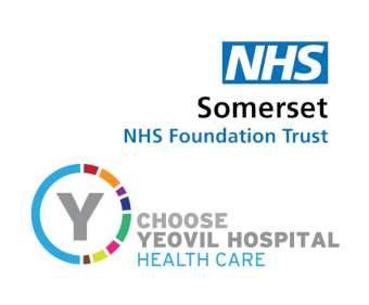 NHS Somerset logo-340