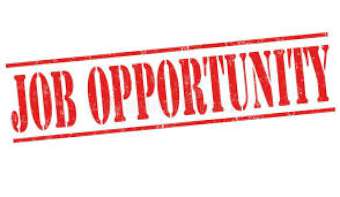 Job Opportunity-340