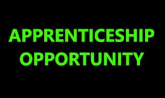 Apprenticeship Opportunity image-340